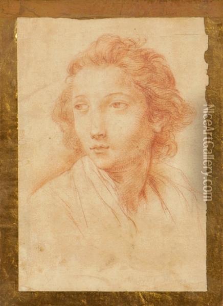 A Portrait Of A Youth Oil Painting - Pompeo Gerolamo Batoni