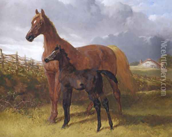 Chestnut Mare And Foal Oil Painting - John Frederick Herring Snr