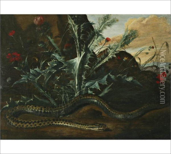 Landscape With Thistle And Snake Oil Painting - Otto Marseus Snuff. Van Schrieck