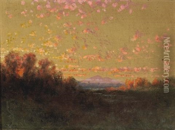 Swamps On San Joaquin River, Mt. Diablo, Sunset Oil Painting - Charles Dorman Robinson