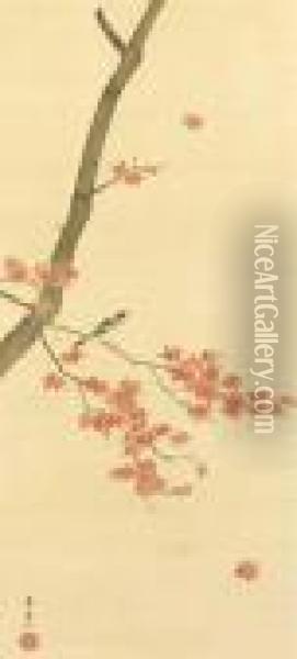 Sparrow And Maple Tree Oil Painting - Suzuki Motonaga Kiitsu