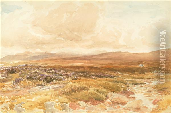 On The Moors Oil Painting - Thomas Collier