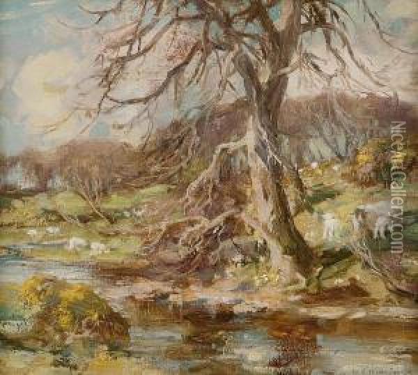 Springtime In Galloway Oil Painting - William Stewart MacGeorge