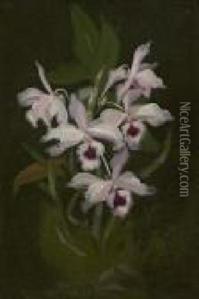 Irises Oil Painting - James Stuart Park