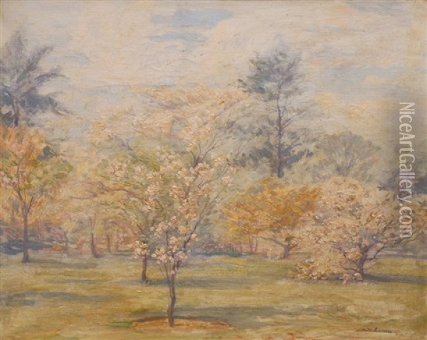 Cherry Blossom In Kew Gardens Oil Painting - Augustus William Enness