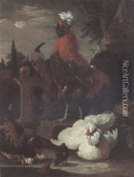 A Rooster, A Peacock, Hens And Chicks By A Pool In An Ornamental Garden Oil Painting - Melchior de Hondecoeter