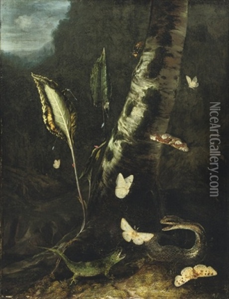 A Forest Floor With A Lizard, A Snake And Butterflies Oil Painting - Otto Marseus van Schrieck