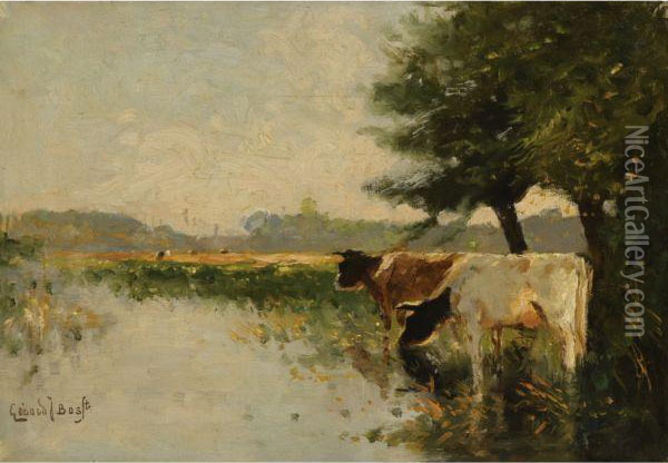 Cattle Watering At A Pond Oil Painting - Gerardus Johannes Bos