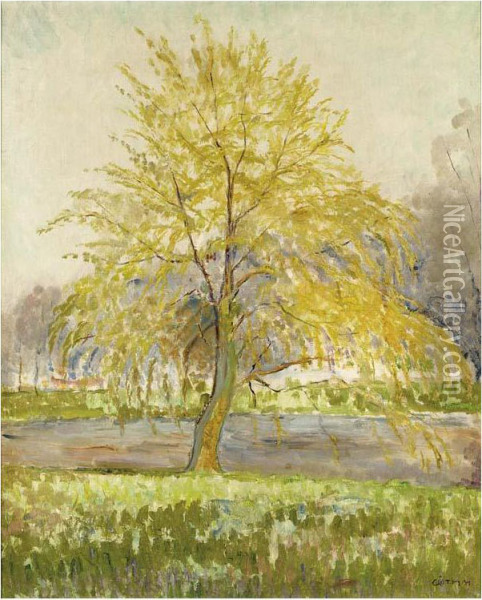 A Willow Tree Oil Painting - Maurice Goth