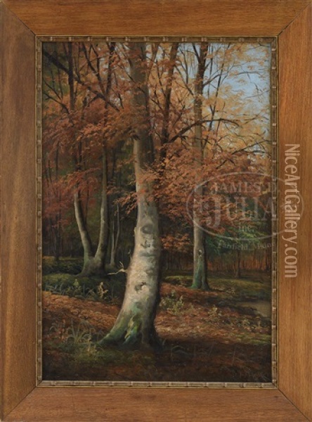 Autumn Woods Oil Painting - Ivan Fedorovich Choultse