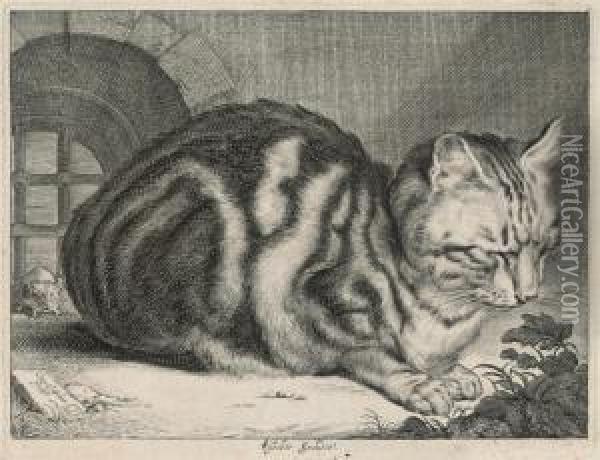 The Large Cat Oil Painting - Cornelius de Visscher