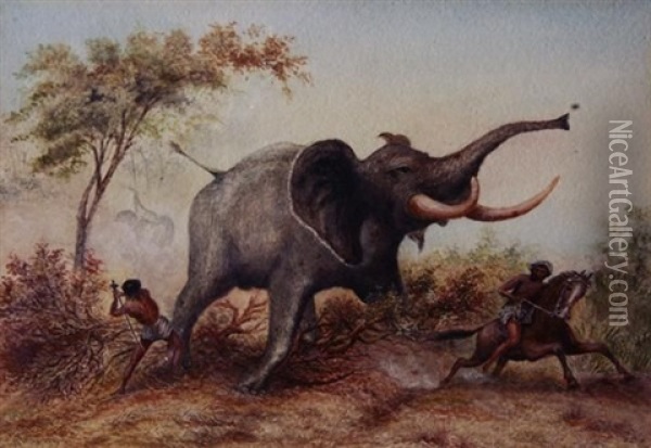 Elephant Hunting In Abyssinia Oil Painting - John Thomas Baines
