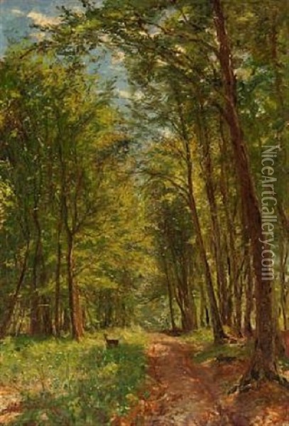 Forest Scape From Hornbaek Plantage Oil Painting - Godfred Christensen