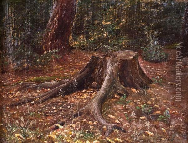Pniak W Lesie Oil Painting - Zefiryn Cwiklinski
