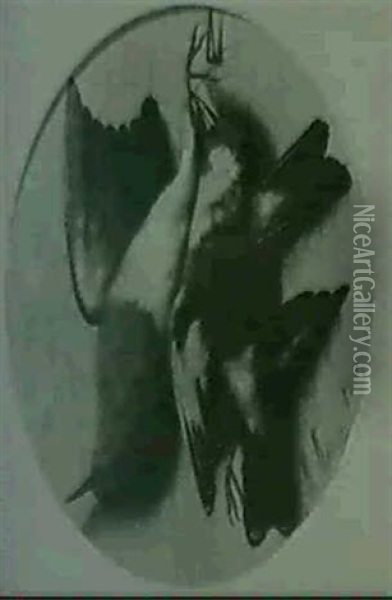 Vogelstilleben Oil Painting - Michelangelo Meucci