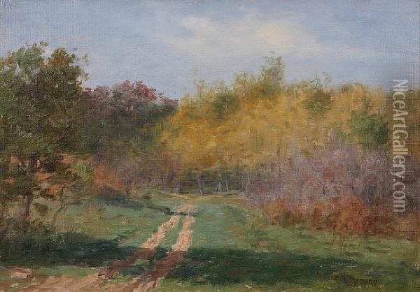 Path Through The Woods Oil Painting - Charles Francis Browne