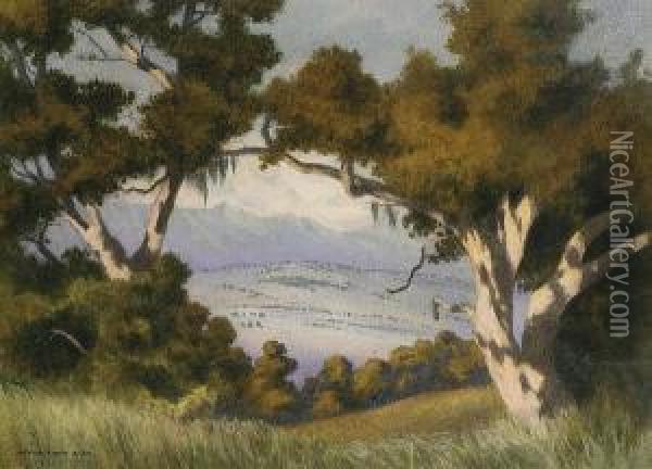 A Vista, Hope Ranch, Santa Barbara, California Oil Painting - George Elbert Burr