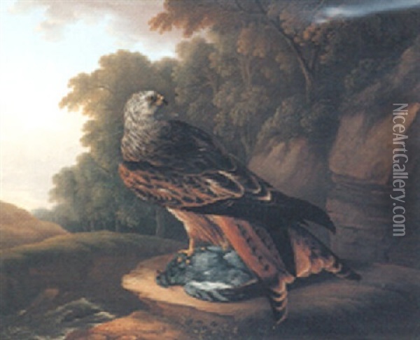 A Red Kite With A Rock Dove In A Woodland Landscape Oil Painting - Stephen Elmer