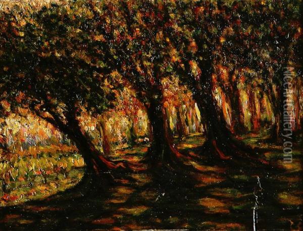 Alberi Oil Painting - Carlo Servolini