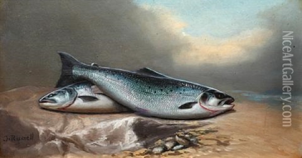A Brace Of Salmon (+ A Catch Of Brown Trout; Pair) Oil Painting - John Bucknell Russell
