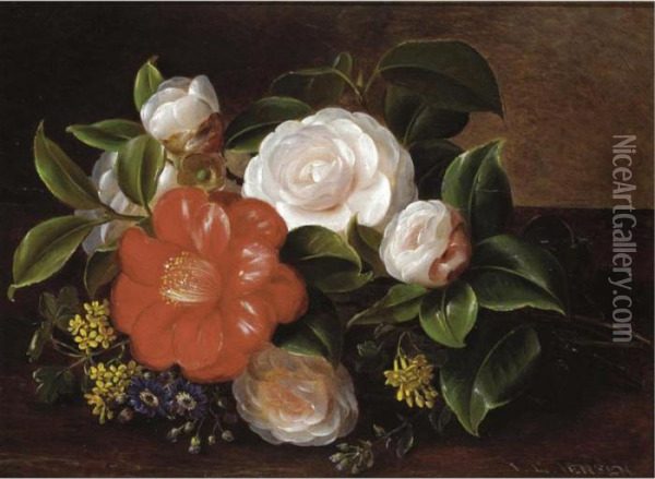 Still Life Of Camellia And Roses Oil Painting - Johan Laurentz Jensen