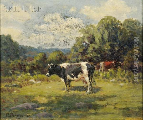 Cows In A Pasture Oil Painting - Elizabeth Foote Ferguson