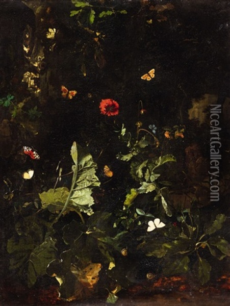 A Forest Still Life With Butterflies Oil Painting - Nicolaes de Vree