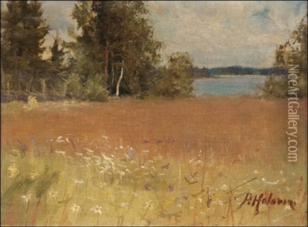 Niitty Oil Painting - Pekka Halonen