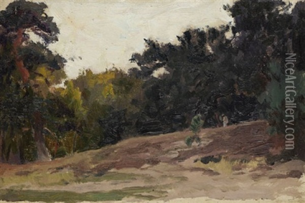 Landschaftsstudien (3 Works) Oil Painting - Erich Kips