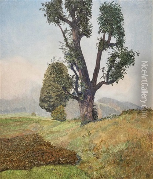 Eschenbaumgruppe Auf Feld Oil Painting - Hans Frank