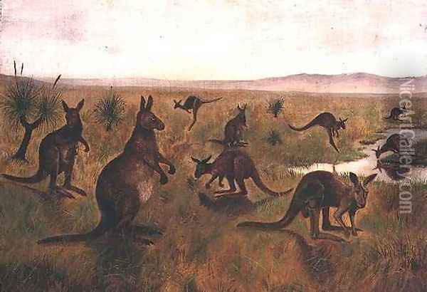 Kangaroos in Australian landscape Oil Painting - William Webster Hoare