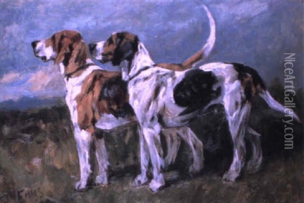 A Couple Of Foxhounds Oil Painting - John Emms