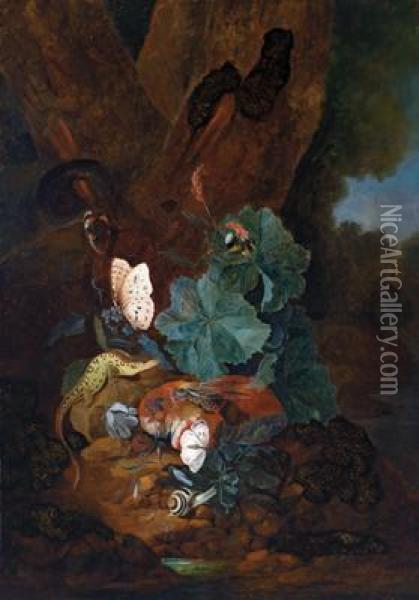 Natura Morta Con Un Cardo Oil Painting - Carl Wilhelm de Hamilton