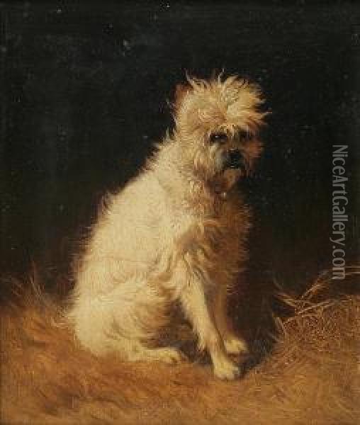 Dog Portrait Oil Painting - Josef Neugebauer