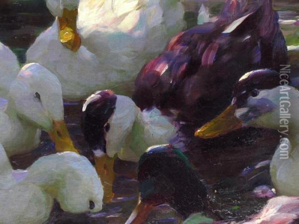 Zehn Enten Bei Sonnenuntergang Im Weiher Oil Painting - Alexander Max Koester