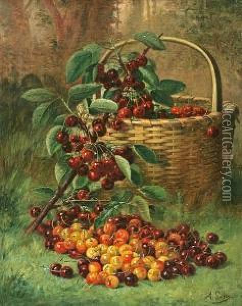 Still Life Of A Basket Of Cherries Oil Painting - August Laux