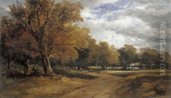 A Wooded Landscape With Sheep Oil Painting - William James Mueller