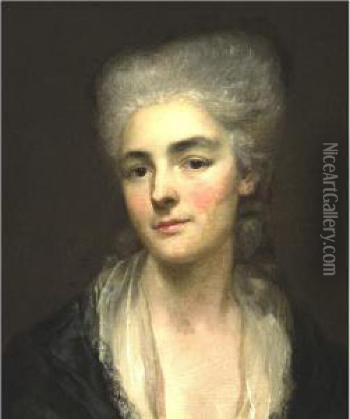 Portrait Of A Lady Oil Painting - Henri Pierre Danloux