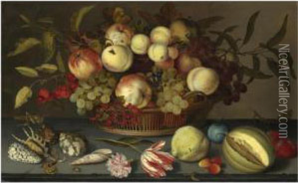 Still Life Of Peaches, Apples, 
Grapes, Cherries And Redcurrantsin A Basket, With Sea-shells, Insects, A
 Parrot Tulip, A Pink Roseand Further Fruit Scattered On The Stone Ledge
 Beneath Oil Painting - Balthasar Van Der Ast