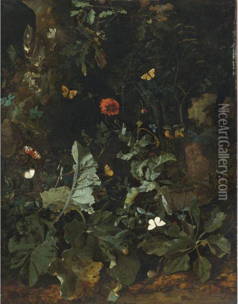 A Forest Floor Still Life With Flowering Plants Andbutterflies Oil Painting - Nicolas De Vree