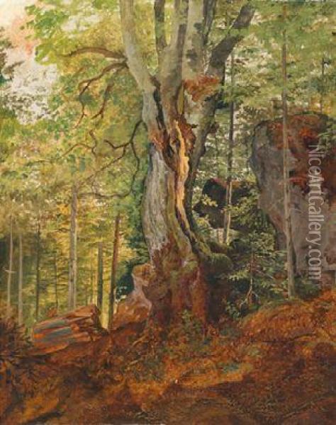 Waldstudie, Ruckseitig Alt Bezeichnet Oil Painting - Josef Feid