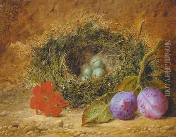 Geraniums, plums, and a bird's nest with eggs, on a mossy bank Oil Painting - William Ward