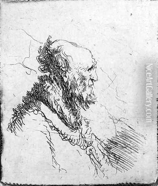 A bald old Man with a short Beard, in Profile Right Oil Painting - Rembrandt Van Rijn