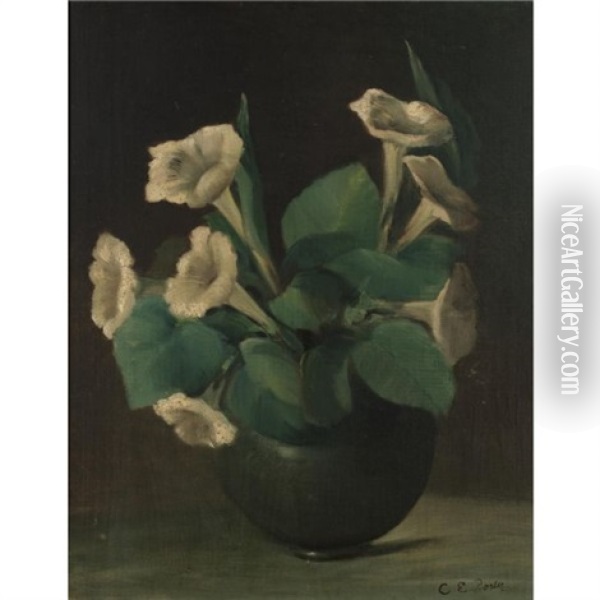 A Bowl Of Morning Glories Oil Painting - Charles Porter