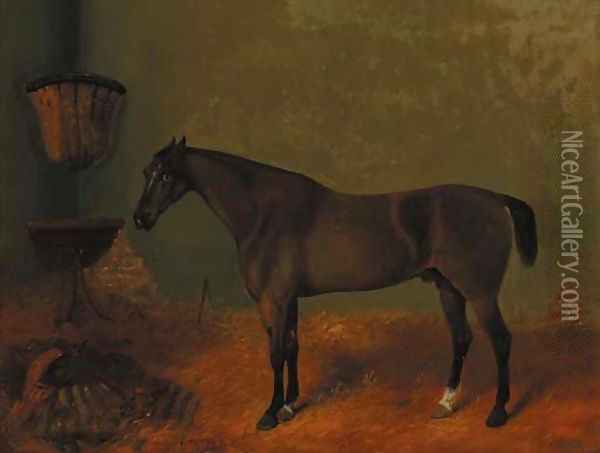 A liver chestnut hunter in a loosebox Oil Painting - Richard Ansdell