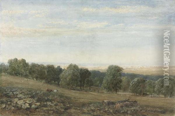 Bodelwyddan Near St Asaph In The Vale Of Clwyd, North Wales Oil Painting - David I Cox