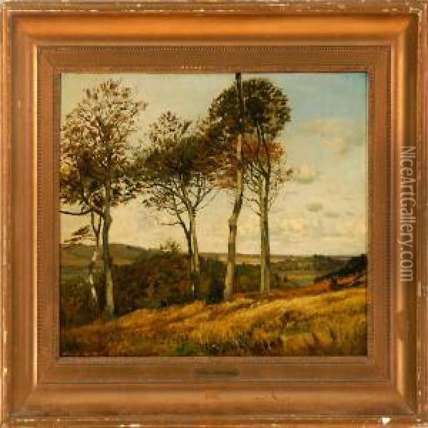 Autumn Landscape With Tall Trees Oil Painting - Godfred B.W. Christensen
