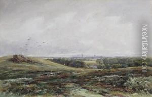 Bradgate Park Oil Painting - James Orrock