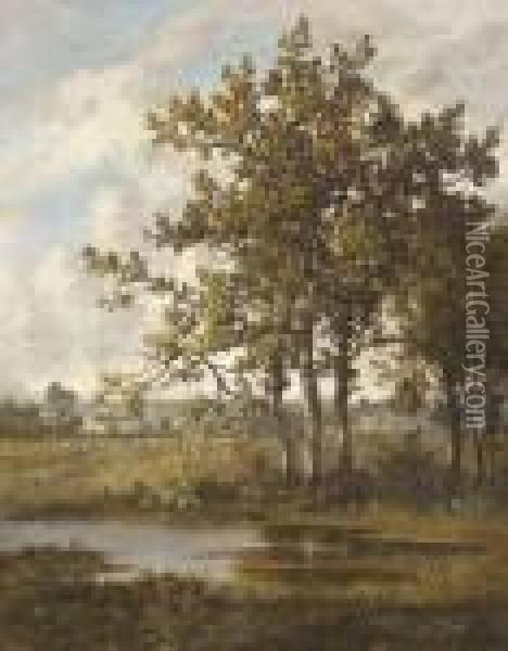 A Pool In A Wooded Landscape Oil Painting - Leon Richet
