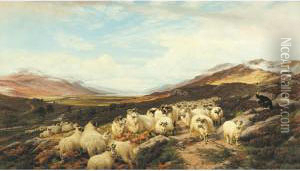 Gathering The Flocks, Loch Maree Oil Painting - Henry William Banks Davis, R.A.